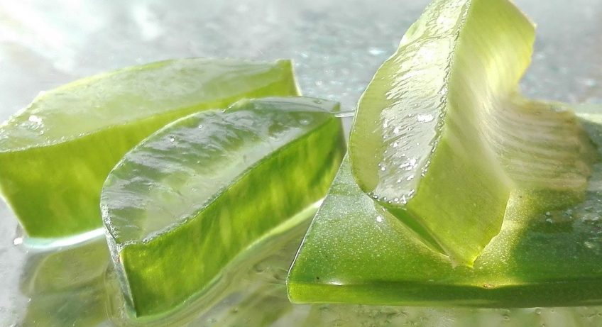 Les grandes propriétés de l'aloe vera pour l'entretien de notre peau.