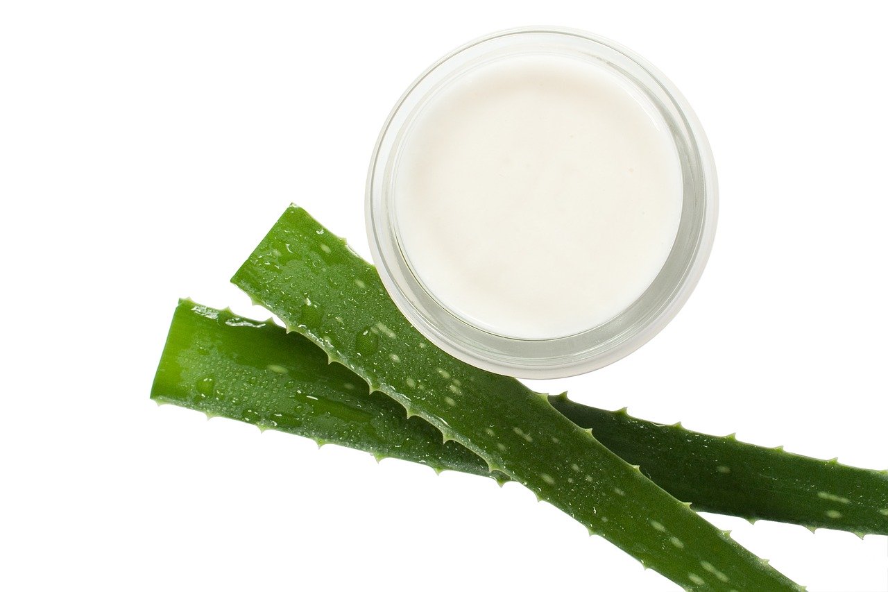 Les grandes propriétés de l'aloe vera pour l'entretien de notre peau. 